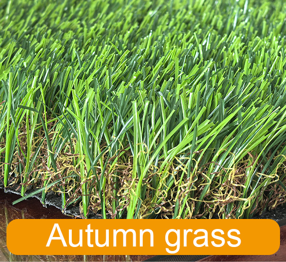 Autumn grass