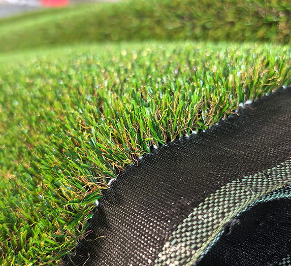 Autumn grass