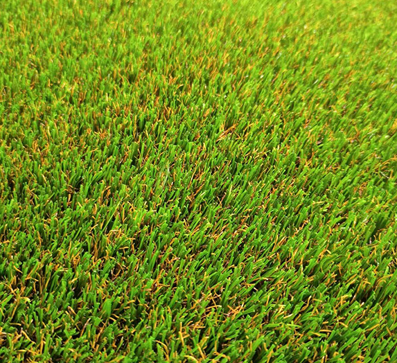 Autumn grass