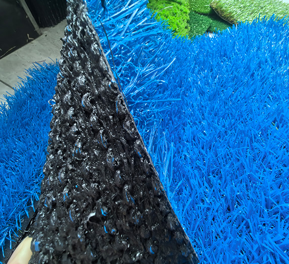 Rainbow grass