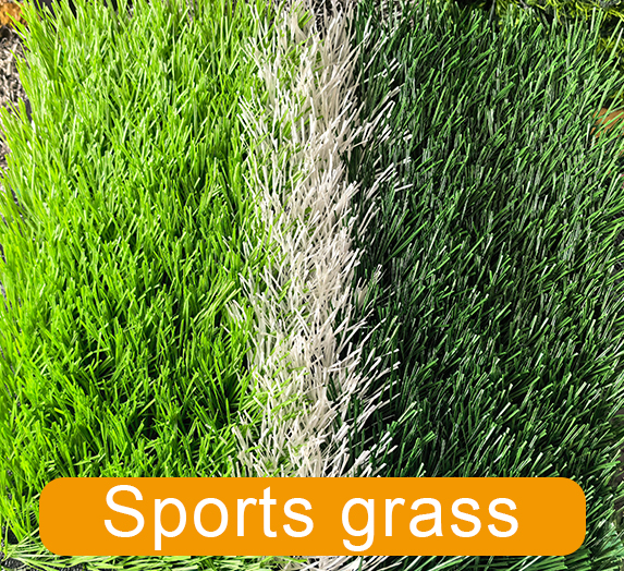 Sports grass