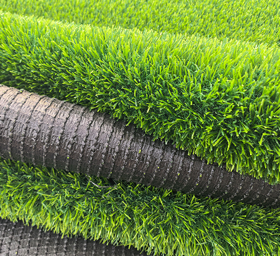 Sports grass
