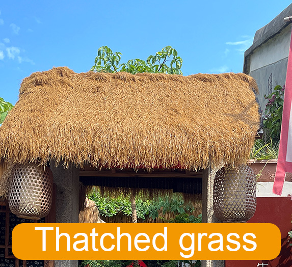 Thatched grass