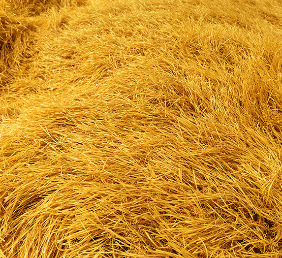 Thatched grass