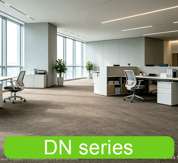 DN series