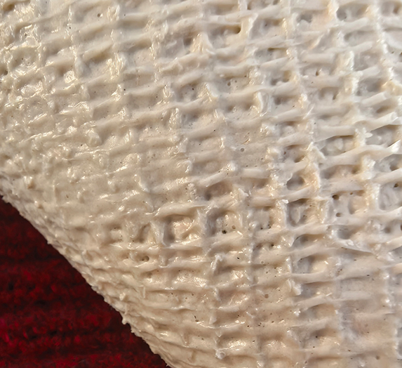 Wall to wall carpet